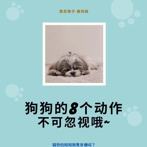 文章详情图片