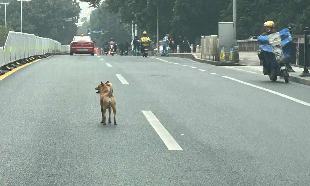 文章详情图片