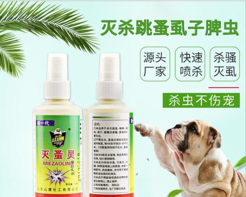 文章详情图片