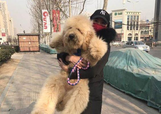文章详情图片