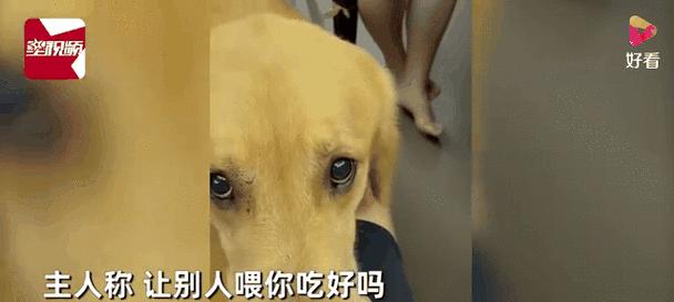 文章详情图片