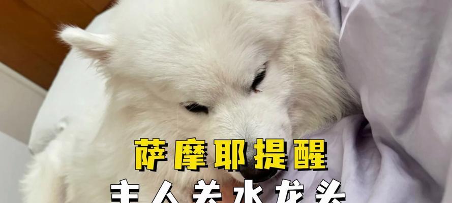 文章详情图片