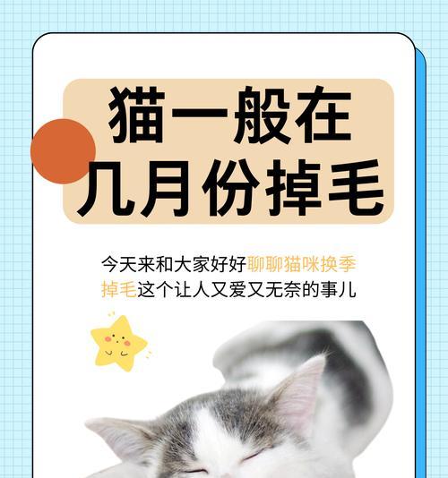 文章详情图片