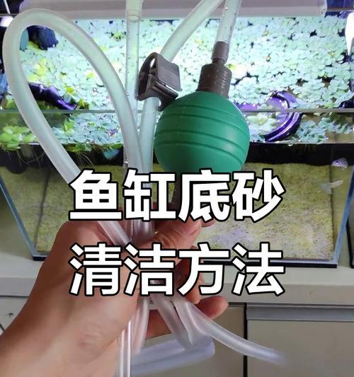 文章详情图片