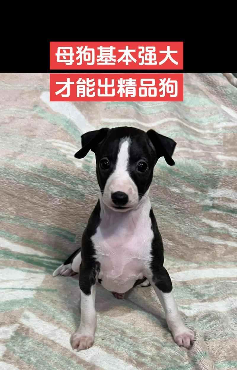 文章详情图片