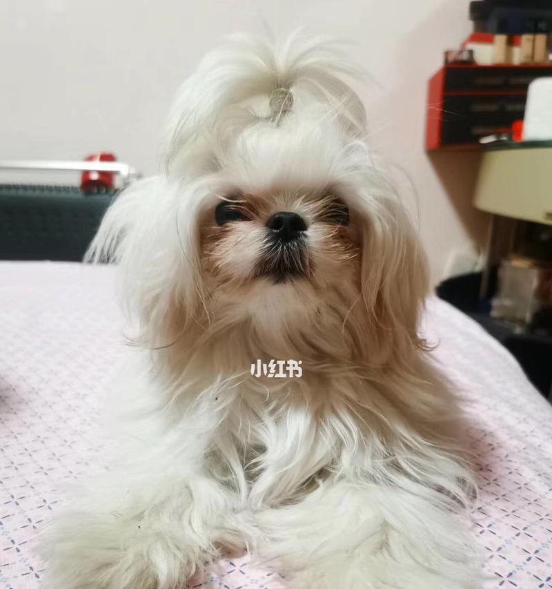文章详情图片