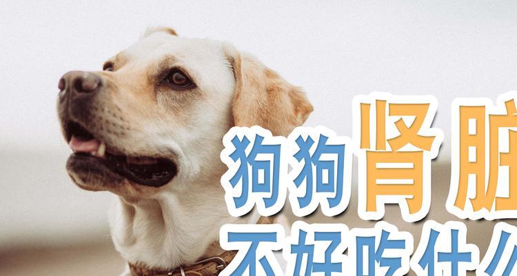 文章详情图片