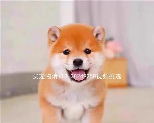 文章详情图片