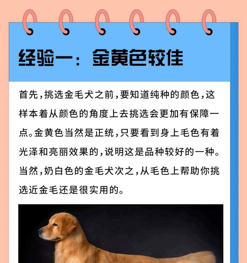 文章详情图片