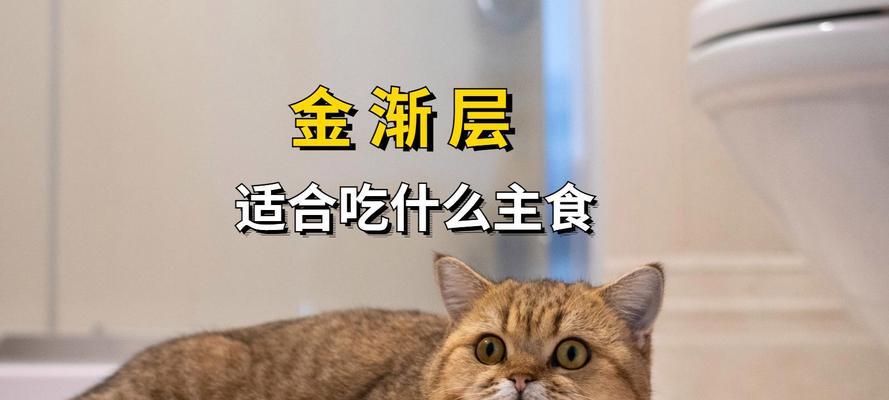 文章详情图片