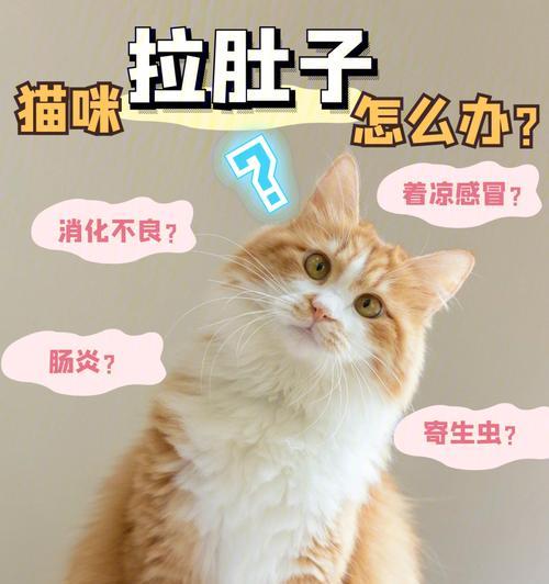 文章详情图片