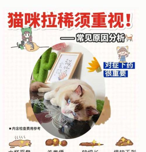 文章详情图片
