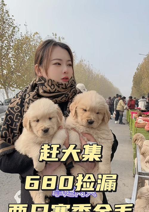 文章详情图片