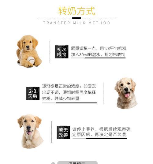 一月大狗的奶粉选择（为宝贝提供全面营养的关键）