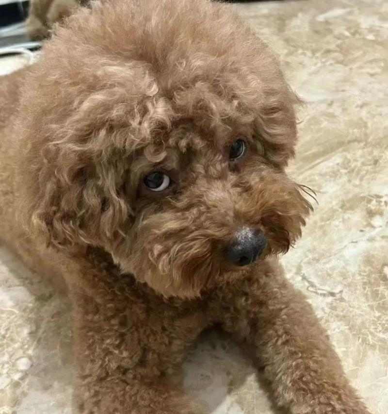 文章详情图片