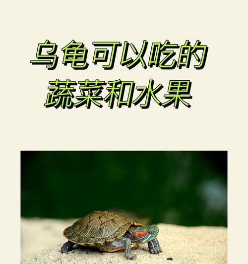 文章详情图片