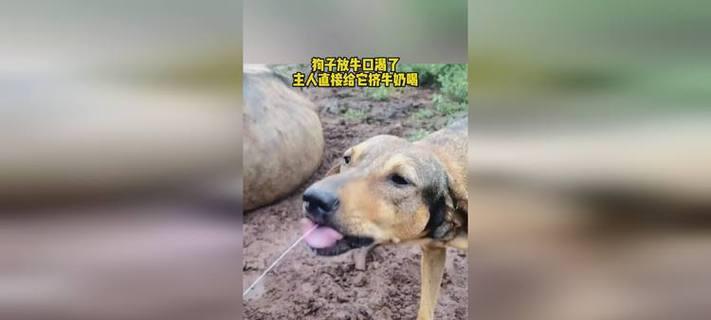 文章详情图片