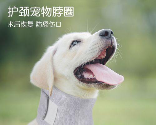 文章详情图片