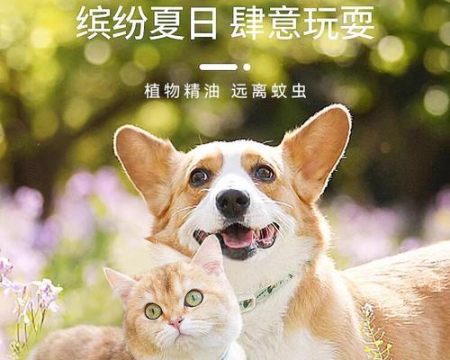 文章详情图片