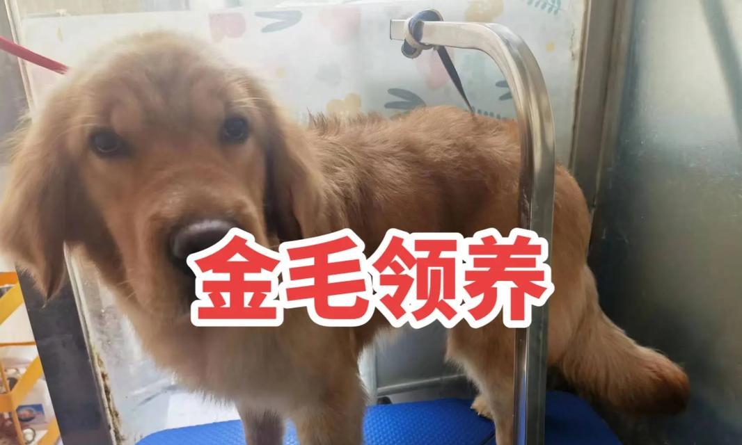 文章详情图片