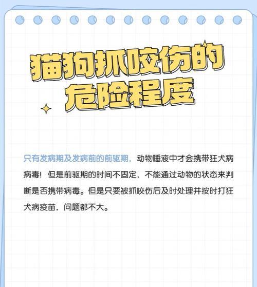 文章详情图片