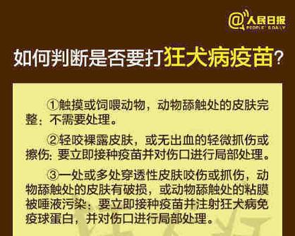 文章详情图片