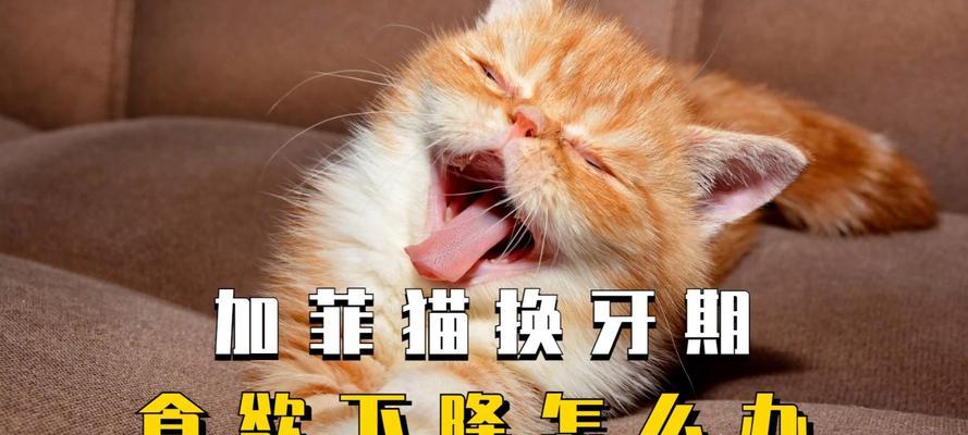 文章详情图片
