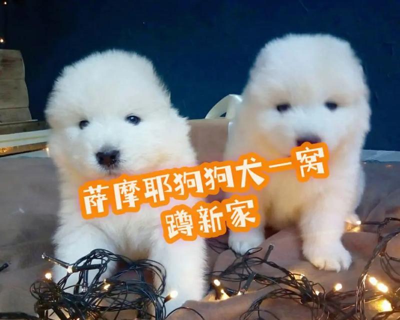 文章详情图片