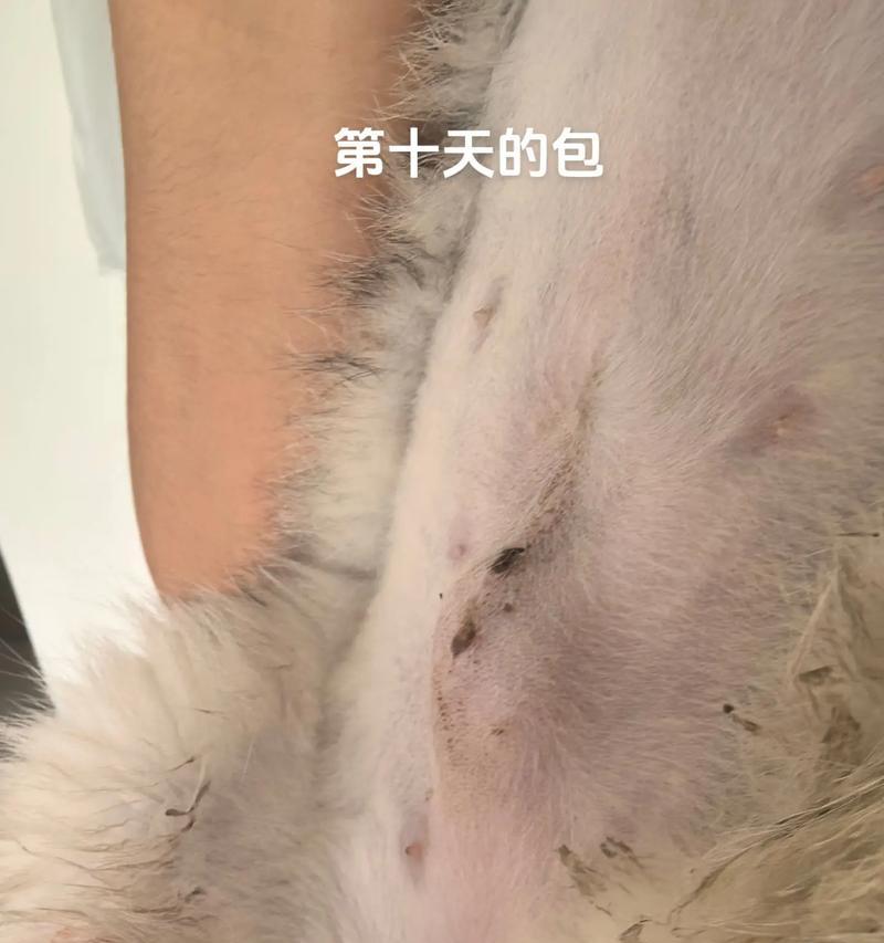 文章详情图片