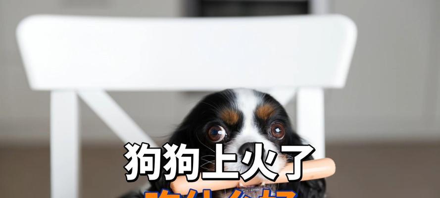 文章详情图片