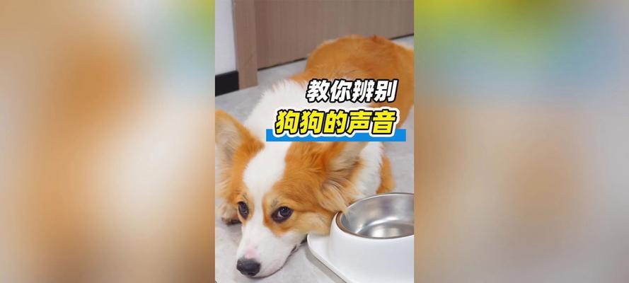 文章详情图片