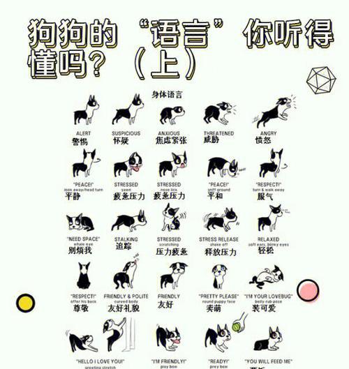 文章详情图片