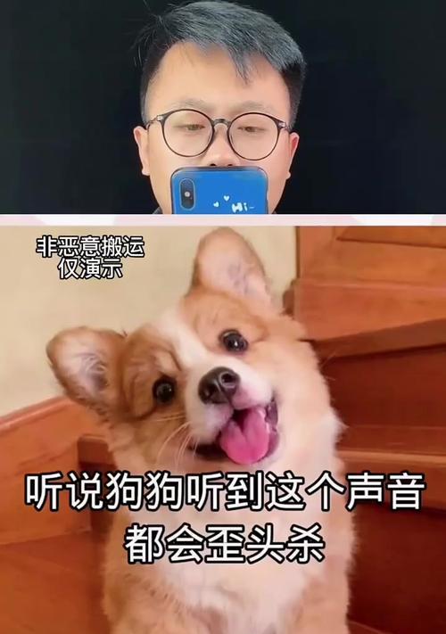 文章详情图片
