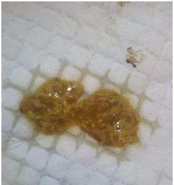 文章详情图片