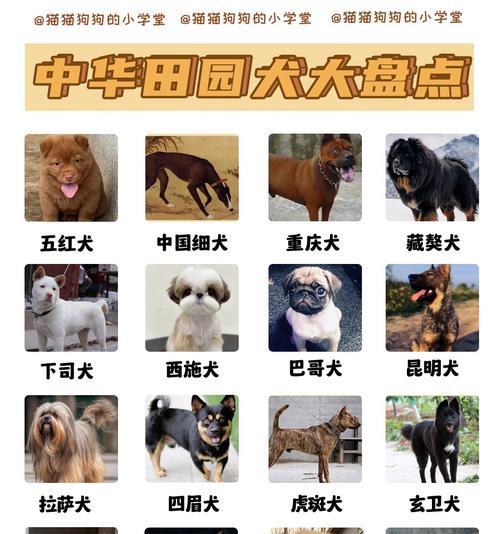 文章详情图片