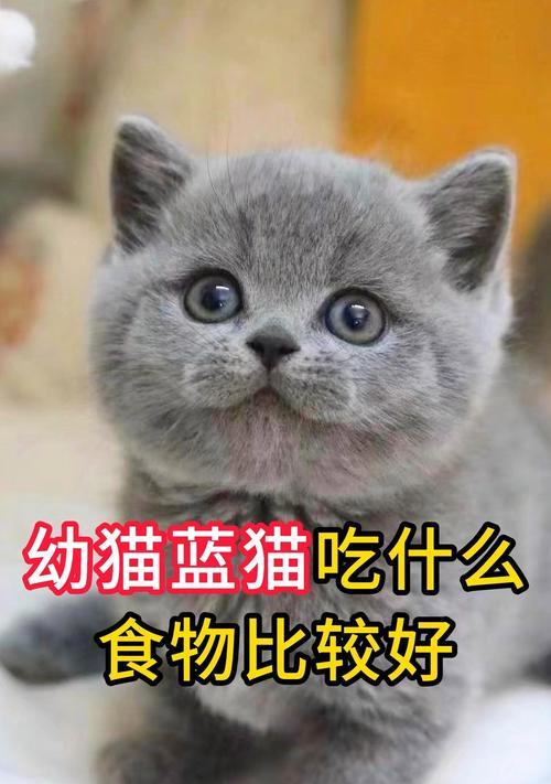 文章详情图片