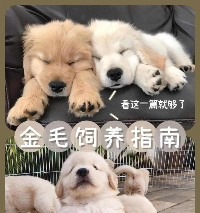 文章详情图片