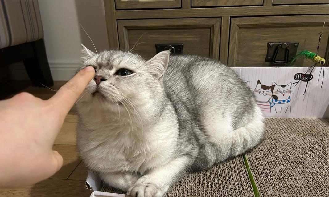 文章详情图片