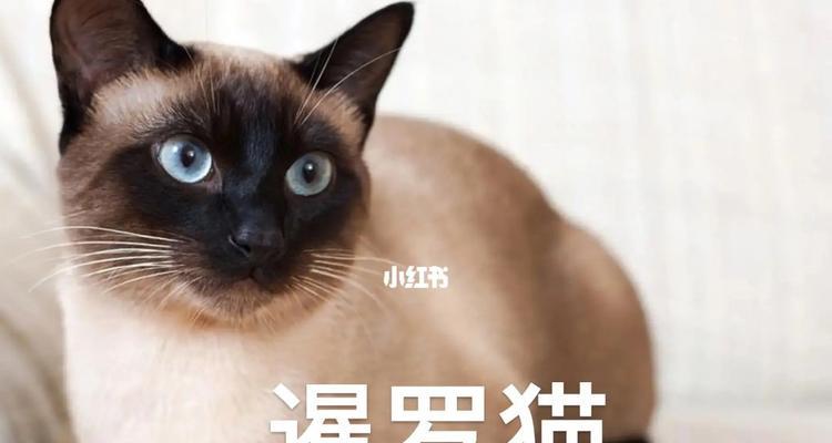 文章详情图片