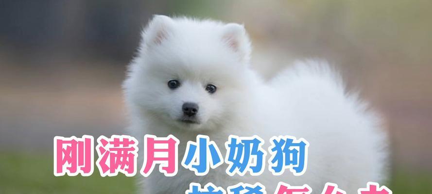 文章详情图片