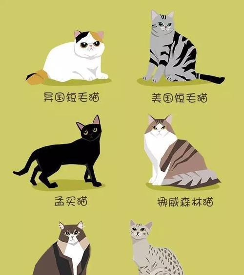 文章详情图片