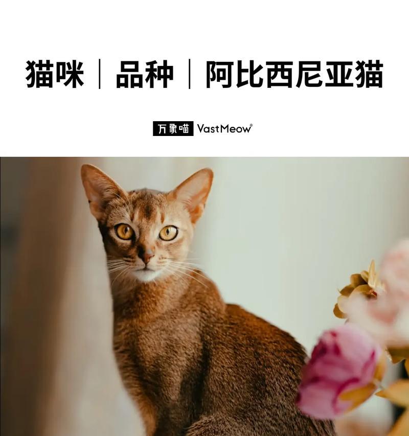 文章详情图片