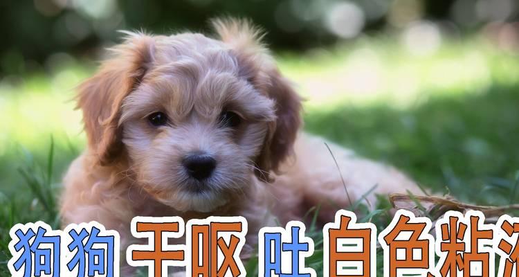 文章详情图片