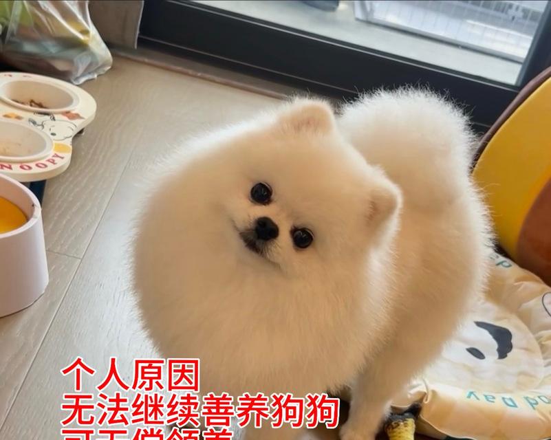 文章详情图片