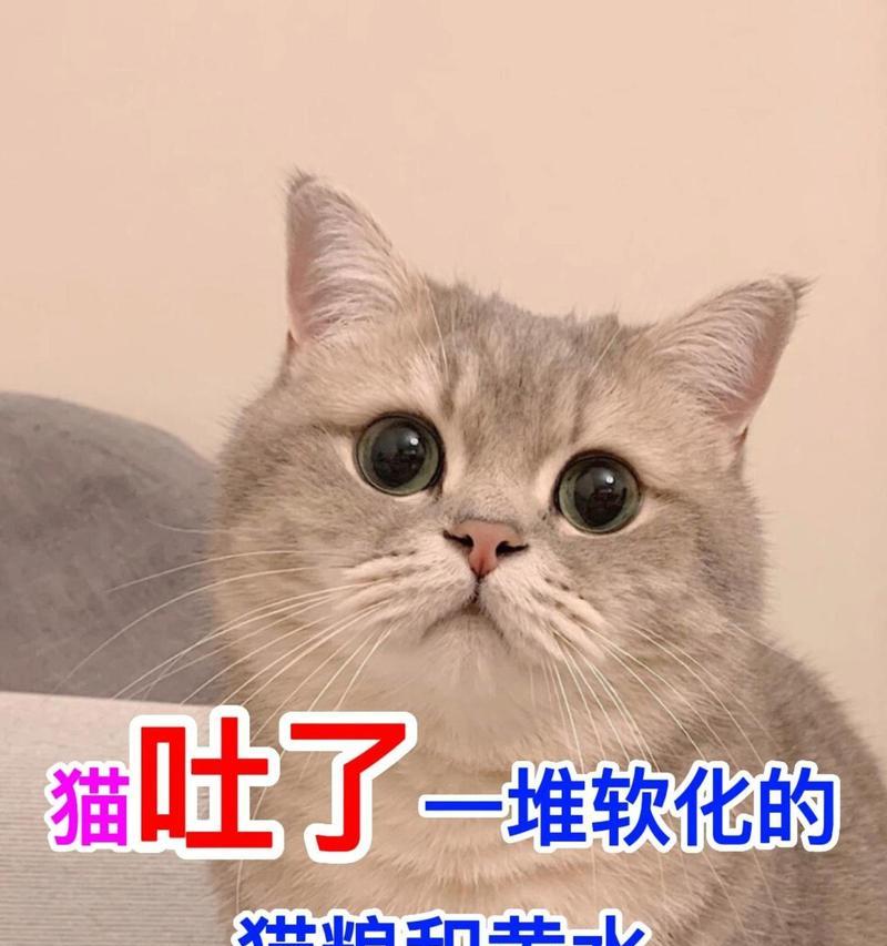 文章详情图片