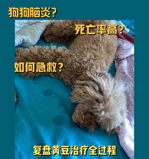 文章详情图片
