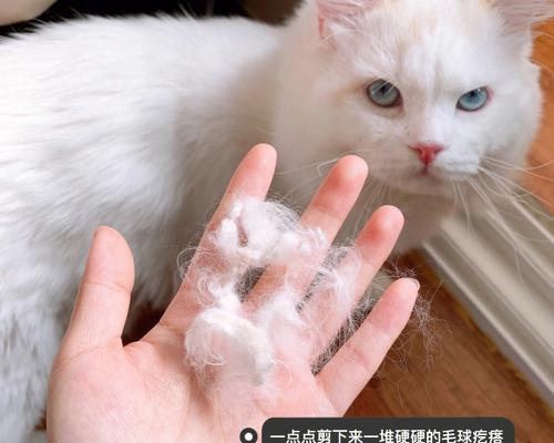 文章详情图片
