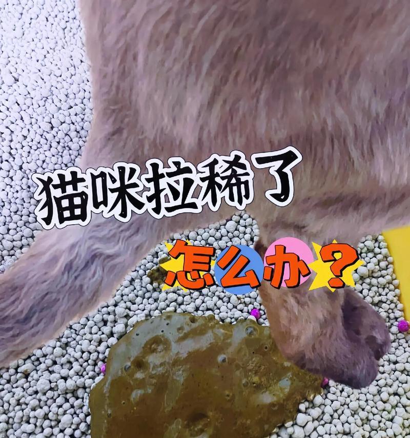 文章详情图片