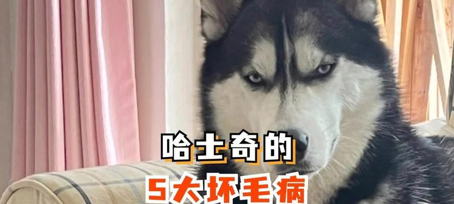 文章详情图片