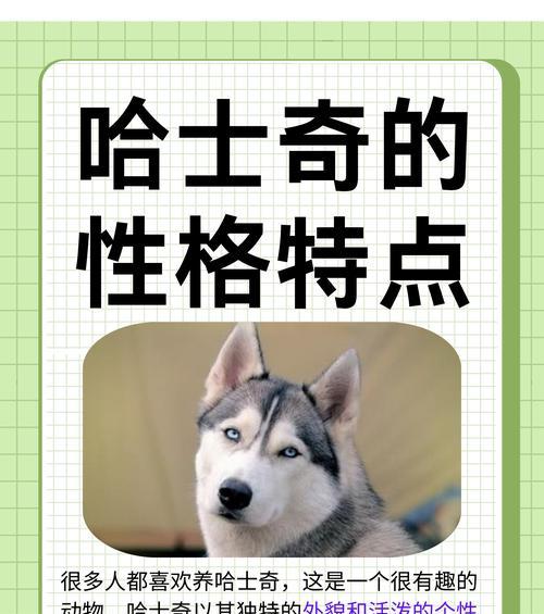 文章详情图片